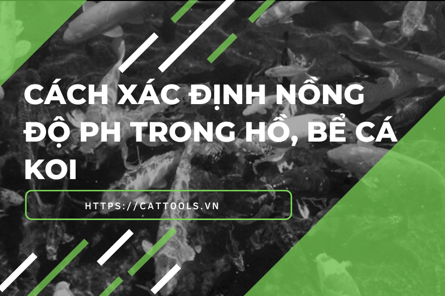 Cách Xác Định Nồng Độ pH Trong Hồ, Bể Cá Koi