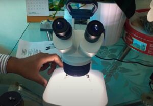 Điều chỉnh nguồn sáng kính hiển vi soi nổi